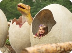 Příměstský tábor Robinson Říčany