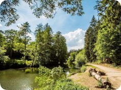 Příměstský tábor Robinson The Park Chodov