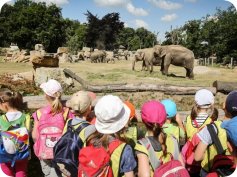 Příměstský tábor Robinson Praha Libeň 2026