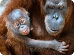 Příměstský tábor Robinson Praha Klánovice